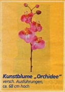 Kunstblume_orch